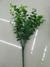 سبعة، يوغالي details Picture